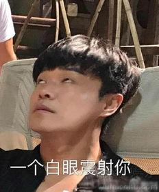 陈思诚表情包,笑点满满，揭秘导演背后的幽默人生